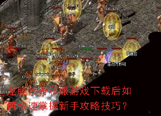 ���ڴ���˽����Ϸ���غ���ο����������ֹ��Լ��ɣ�