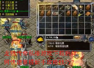 ���ڴ���˽����Ϸ���غ���ο����������ֹ��Լ��ɣ�