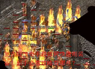 ���Ű洫��������ο���ˢװ�������ֱؿ���������Щ��