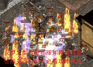 安卓大型传奇私服如何选择最佳服务器?新手必看攻略推荐 安卓大型传奇私服如何选择最佳服务器?新手必看攻略推荐