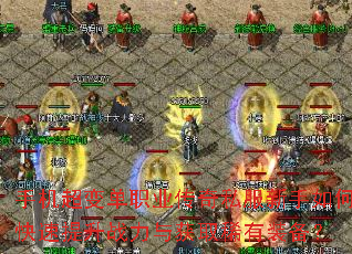 �ֻ����䵥ְҵ����˽��������ο�������ս�����ȡϡ��װ����