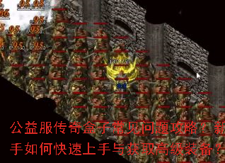 �����������ӳ������⹥�ԣ�������ο����������ȡ�߼�װ����