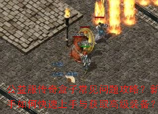 �����������ӳ������⹥�ԣ�������ο����������ȡ�߼�װ����