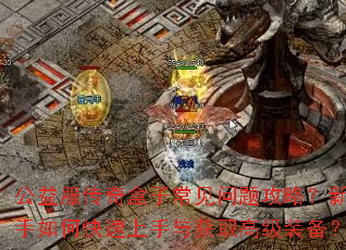 �����������ӳ������⹥�ԣ�������ο����������ȡ�߼�װ����