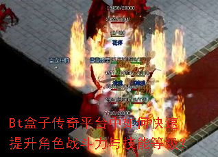 Bt���Ӵ���ƽ̨����ο���������ɫս�����뼼�ܵȼ���