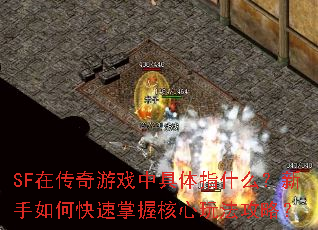SF�ڴ�����Ϸ�о���ָʲô��������ο������պ����淨���ԣ�