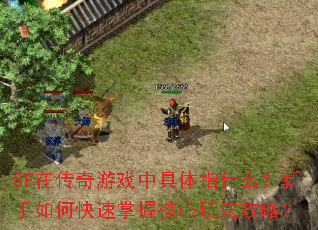 SF�ڴ�����Ϸ�о���ָʲô��������ο������պ����淨���ԣ�