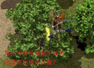 ���״���˽��������ο���ˢ����Ʒװ����