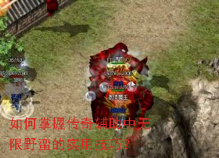 ������մ��渨��������Ұ����ʵ�ü��ɣ�