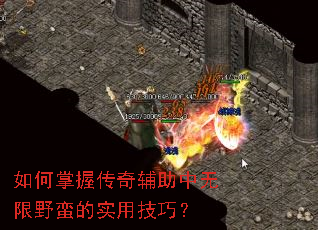 ������մ��渨��������Ұ����ʵ�ü��ɣ�