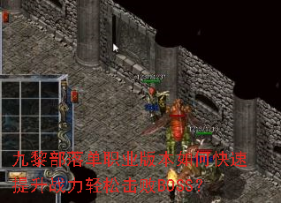 ���貿�䵥ְҵ�汾��ο�������ս�����ɻ���BOSS��