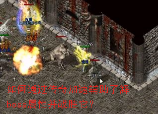 ���ͨ��������ٸ����˽�boss���Բ�սʤ����