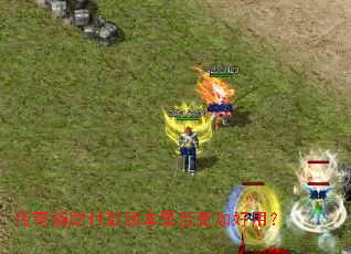 ���渨������汾�Ƿ���Ӻ��ã�