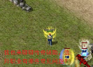 ��Ҳ�����Ĵ��渨������ʦְҵ����Щ�������⣿