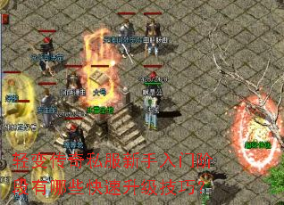 轻变传奇私服新手入门阶段有哪些快速升级技巧? 轻变传奇私服新手入门阶段有哪些快速升级技巧?