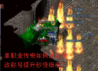 ��ְҵ�������ͨ�����ĳƺ�������ָ��ʣ�