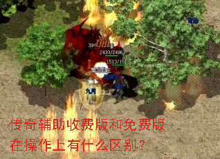 传奇辅助收费版和免费版在操作上有什么区别? 传奇辅助收费版和免费版在操作上有什么区别?