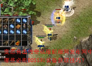 ��̬�ϻ�����˽���·���������������Щ��ˢBOSS��װ����ȡ���ɣ�