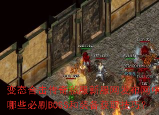 ��̬�ϻ�����˽���·���������������Щ��ˢBOSS��װ����ȡ���ɣ�