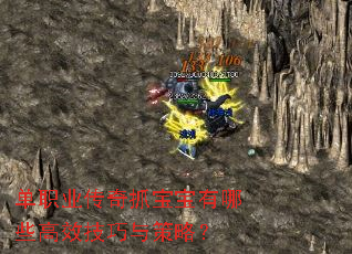 ��ְҵ����ץ��������Щ��Ч��������ԣ�