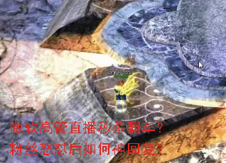 微软高管直播秒杀翻车?粉丝怒怼后如何神回复? 微软高管直播秒杀翻车?粉丝怒怼后如何神回复?