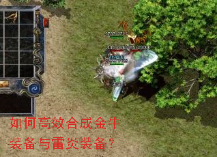 ��θ�Ч�ϳɽ�ţװ��������װ����