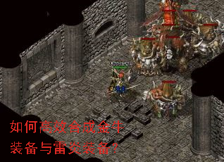 ��θ�Ч�ϳɽ�ţװ��������װ����