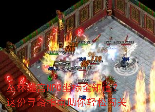 丛林迷宫NPC坐标全知道?这份寻路指南助你轻松闯关 丛林迷宫NPC坐标全知道?这份寻路指南助你轻松闯关