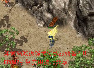 ��θ�Ч��⴫��˽��װ����HEROM2����ʵ�ü��ɷ���