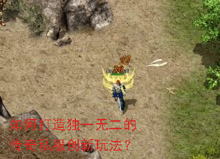 ��δ����һ�޶��Ĵ���˽�������淨��