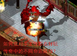 ���Ӧ��������Ӱ�ں��洫���еĲ�ͬ����·�ߣ�