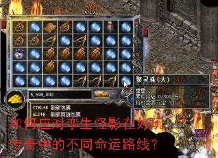 ���Ӧ��������Ӱ�ں��洫���еĲ�ͬ����·�ߣ�