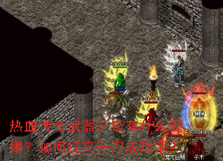 ��Ѫ��������������ʲô���ɣ������������ɹ��ʣ�