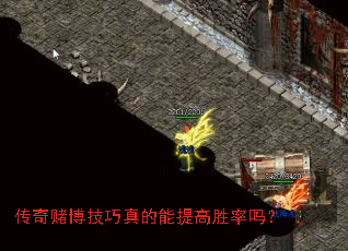 ����Ĳ�������������ʤ����