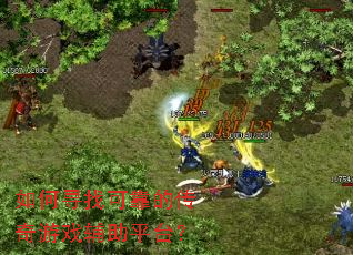 如何寻找可靠的传奇游戏辅助平台? 如何寻找可靠的传奇游戏辅助平台?