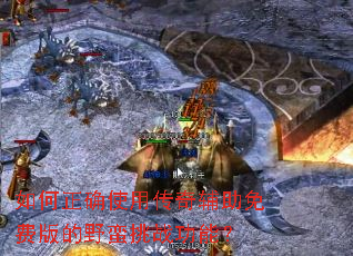 �����ȷʹ�ô��渨����Ѱ��Ұ����ս���ܣ�