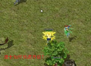 道士如何快速升级? 道士如何快速升级?