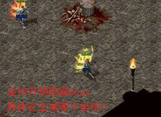 �����������boss�����������ĸ����ꣿ