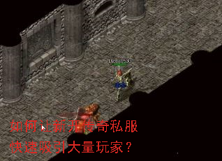 ������¿�����˽����������������ң�