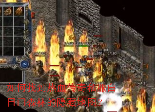 ����ҵ���Ѫ����˽��������ɭ�ֵ����ص�ͼ��