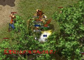 ��ħ��2Сʱ��θ�Ч������