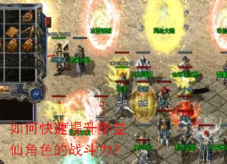 ��ο������������ɽ�ɫ��ս������