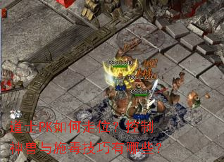 道士PK如何走位?控制神兽与施毒技巧有哪些? 道士PK如何走位?控制神兽与施毒技巧有哪些?