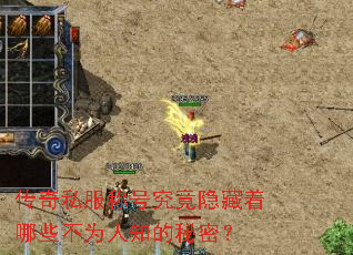 ����˽���ƺž�����������Щ��Ϊ��֪�����ܣ�