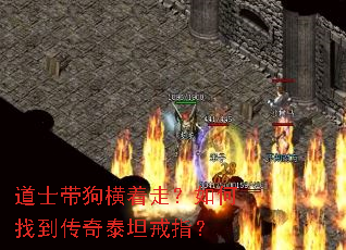 ��ʿ���������ߣ�����ҵ�����̩̹��ָ��