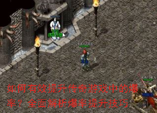 �����Ч����������Ϸ�еı��ʣ�ȫ�����������������