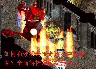 �����Ч����������Ϸ�еı��ʣ�ȫ�����������������