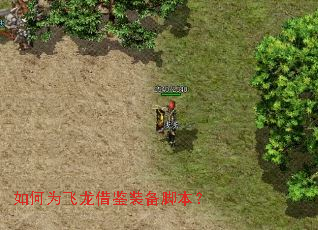 ���Ϊ�������װ���ű���