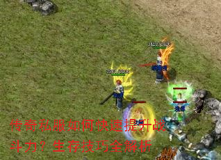 传奇私服如何快速提升战斗力?生存技巧全解析 传奇私服如何快速提升战斗力?生存技巧全解析