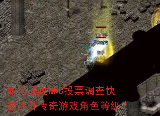 如何通过NPC投票调查快速提升传奇游戏角色等级? 如何通过NPC投票调查快速提升传奇游戏角色等级?